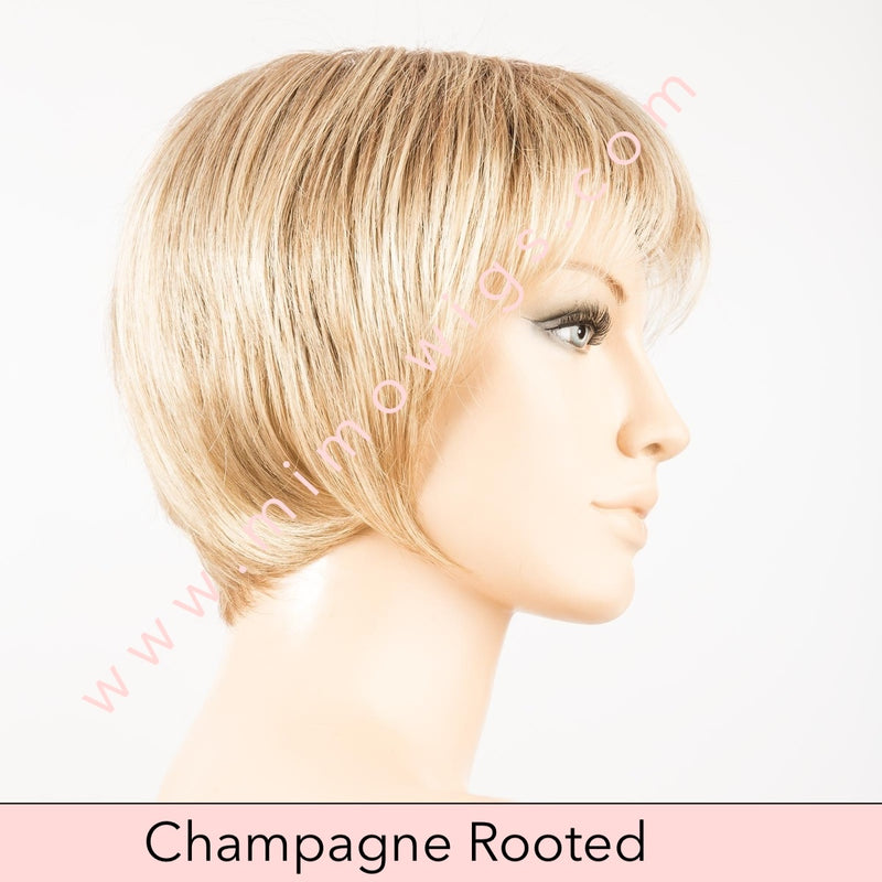 Charlotte by Ellen Wille • Perucci