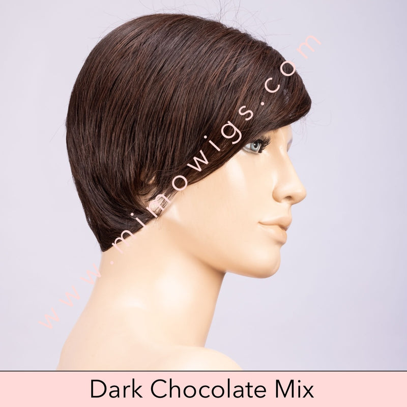 Link by Ellen Wille • Perruci Collection