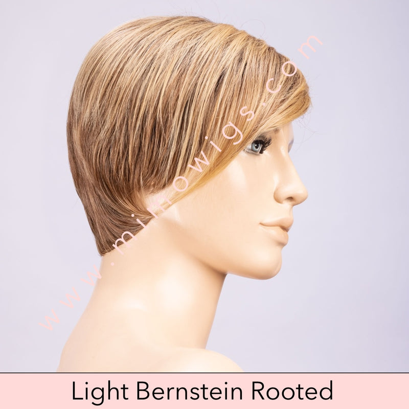 Link by Ellen Wille • Perruci Collection