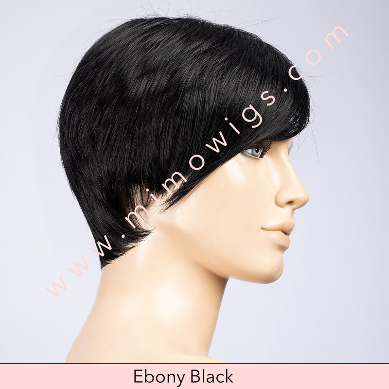 Point by Ellen Wille • Perucci