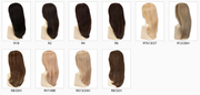 R12 /26H ••• Light Brown with Golden Blonde Highlights on Top