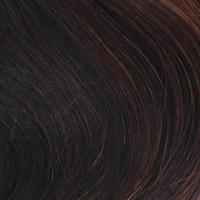 BA814 Crown: Bali Synthetic Hair Pieces | shop name | Medical Hair Loss & Wig Experts.
