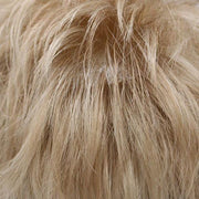 BA853 Pony Wrap Curl Long: Bali Synthetic Hair Pieces | shop name | Medical Hair Loss & Wig Experts.