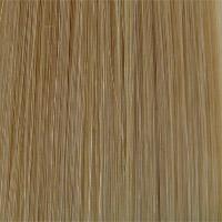 Men's Mono Top System (403)  by Wig USA • Wig Pro Men's Collection | shop name | Medical Hair Loss & Wig Experts.