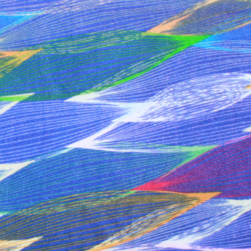 Blue Sage