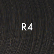 Glamour and More by Raquel Welch - MiMo Wigs